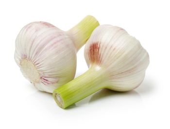 Czosnek młody sztuka