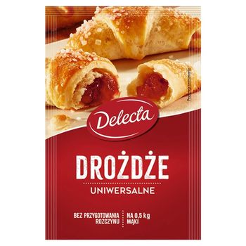 Delecta Drożdże uniwersalne 8 g