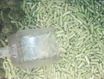 Fasolka szparagowa luz