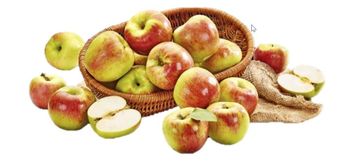 GĄBKA KĄP.D/MASAŻU SYRENA TALIA