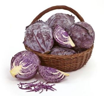 Kapusta czerwona ważona