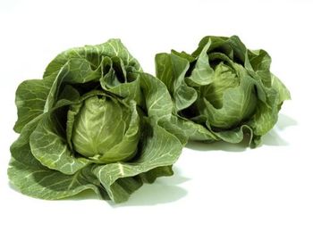 Kapusta młoda sztuka