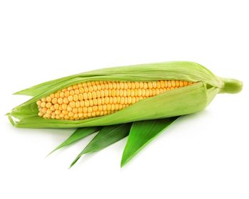 Kukurydza kolba