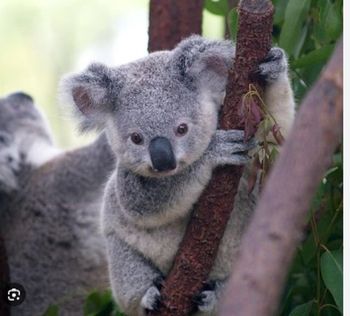 LA RIVE Athletic Man Dezodorant perfumowany 80 ml