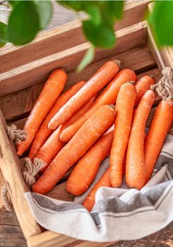 Marchew "Jakość z Natury Carrefour" 1 kg