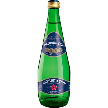 Ostromecko Naturalna woda mineralna gazowana 300 ml