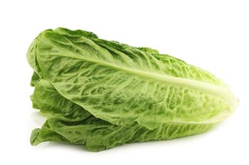 SAŁATA RZYMSKA SZTUKA