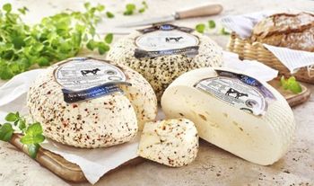 Ser Koryciński Swojski naturalny "Bielec"