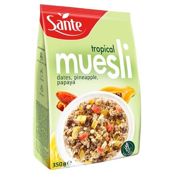 test eksportu bez zdjęć