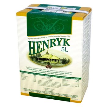 Uzdrowisko Wysowa Henryk Lecznicza woda mineralna niegazowana 5 l