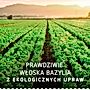 Barilla Pesto Genovese sos do makaronu z bazylią 190 g