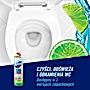 Domestos Power Fresh Lime Fresh Żel do toalet 700 ml