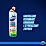 Domestos Power Fresh Lime Fresh Żel do toalet 700 ml
