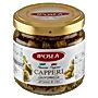 KAPARY IPOSEA 95g W OCCIE WIN.