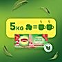 Lipton Herbata zielona mięta 32 g (20 torebek)