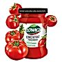 Łowicz Koncentrat pomidorowy 190 g