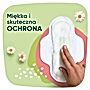 Naturella Classic Normal rozmiar 2 Podpaski ze skrzydełkami, × 10