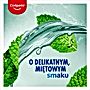 Płyn do płukania jamy ustnej Colgate Plax Soft Mint 