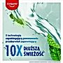 Płyn do płukania jamy ustnej Colgate Plax Soft Mint 