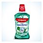Płyn do płukania jamy ustnej Colgate Plax Soft Mint