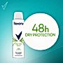 Rexona Aloe Vera Scent Antyperspirant w aerozolu 150 ml